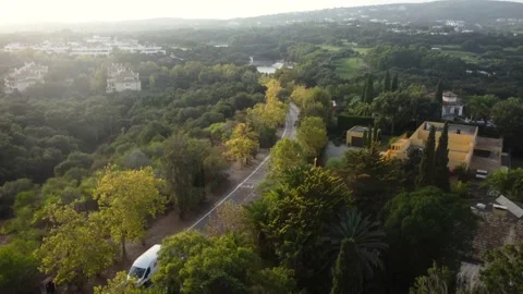 Aerial view van driving and delivering parcels on road in forest at sunset Stock Footage 219612667