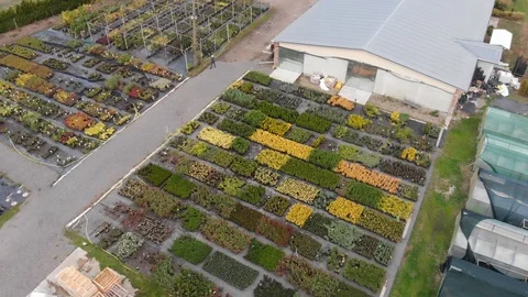 Aerial view of the various fields of crops and greenhouses Stock Footage 122919206