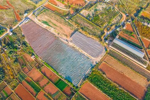 Aerial view of the various fields of crops and greenhouses. Concept of agro-i 스톡 사진