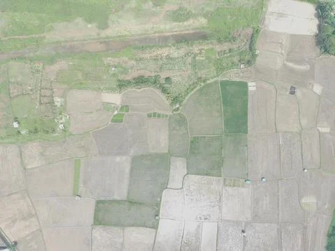 Aerial view of various rice fields pattern side by side with local resident.. Stock Photos