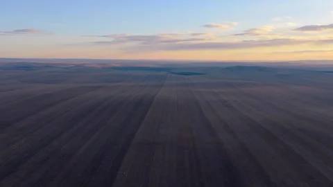 Aerial view of vast autumn farmland and grassland at sunrise Stock Footage 345721653