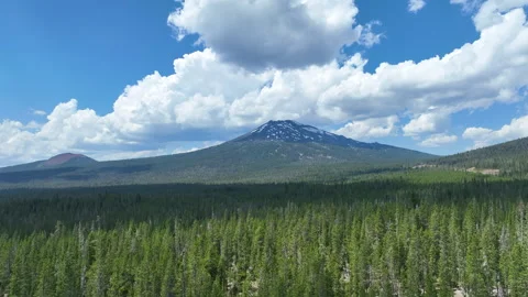 Aerial View of Vast Forest Surrounding Mt. Bachelor, Oregon on Summer Day Stock-Footage 281504110