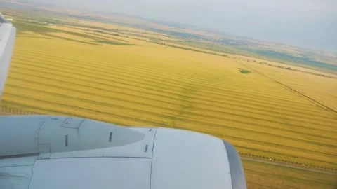 Aerial view of vast golden fields in Poland, as seen from an airplane wing .. Stock Footage 294333732