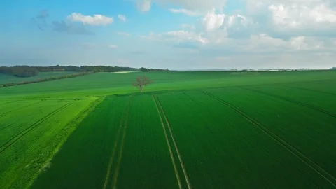 Aerial view of vast green fields under a partly cloudy sky Vidéo 346852990