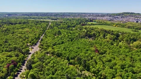 Aerial view of vast green forest in Paris, France Stock Footage 336900290