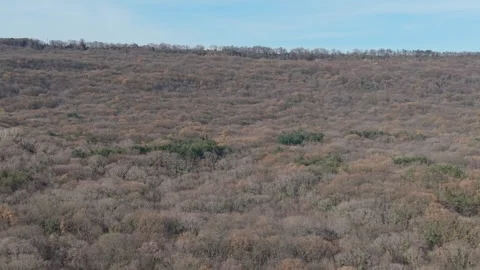Aerial View Of Vast Leafless Forest Landscape In Early Spring Stock Footage 324889767