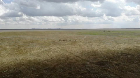Aerial view of a vast open plain under a cloudy sky with distant herds of an 動画素材 297009159