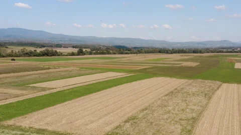 Aerial view of vast, patchwork farmland with vibrant green fields. Stock Footage 285773224