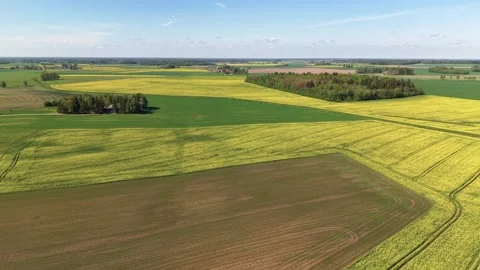 Aerial View of Vast Yellow Fields and Green Farmland Under Blue Sky Video stock 336364770