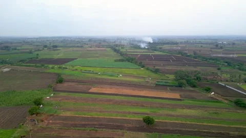 Aerial view of vegetable fields in Rural Andhra Pradesh state , Guntur dist.. Stock Footage 314528881