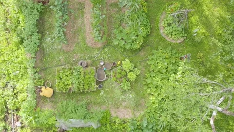 Aerial view on vegetable garden in backyard, woman treats and care vegetable Видео 146168633