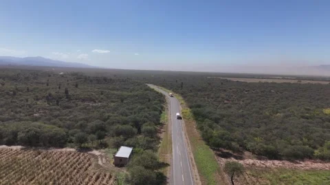 Aerial View of Vehicles Driving Along Highway Through Cactus-Filled Scrubland, S Stock Footage 343673023
