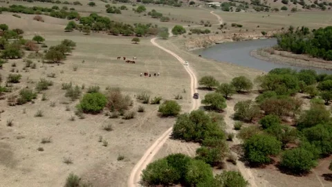 Aerial view, vehicles going up the hill with surreal landscape in Vashlovani 库存影片 238478042