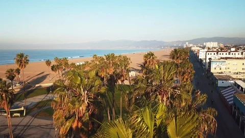 Aerial View of Venice Beach Through Palm Trees at Sunset Video stock 89863988