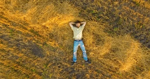 Aerial view. Vertical motion flight over man lying on yellow wheat field Stock Footage 77869902