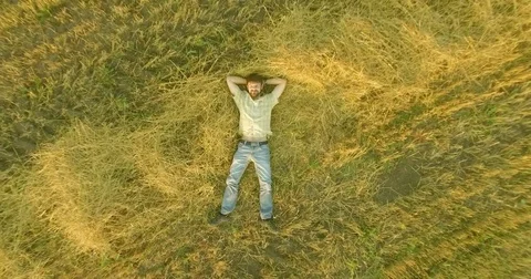 Aerial view. Vertical motion flight over man lying on yellow wheat field Vidéo 84832669
