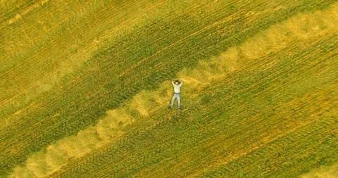 Aerial view. Vertical motion flight over man lying on yellow wheat field Vidéo 86004288