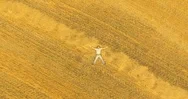 Aerial View. Vertical Motion Flight Over Man Lying On Yellow Wheat Field Stock Footage