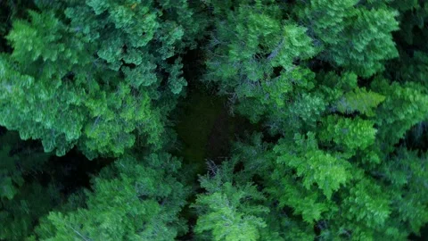 Aerial View Vertical spin Stock Footage 163260100