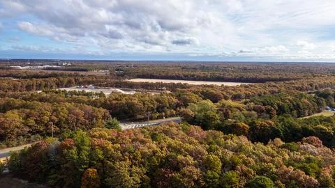 Aerial view of a vibrant forest during autumn, showcasing colorful foliage. Фото