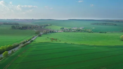 Aerial view of vibrant green fields under bright blue sky Video stock 346854017