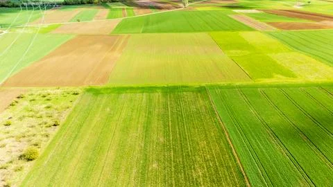Aerial view of vibrant patchwork farmland displaying varying shades of green, Fotos de archivo