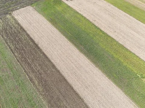 Aerial view of vibrant patchwork fields showcasing various shades of green and Stockfoto's