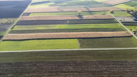 An aerial view of a vibrant patchwork of green and brown farmland, showcasing Stockfoto's