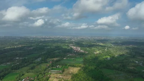 Aerial View of Vibrant Rice Fields in East Java Near Banyuwangi Stock Footage 334000731