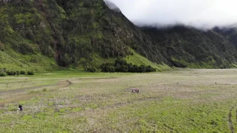 Aerial view view of bromo area Video stock 219981807