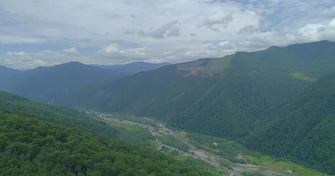 Aerial view: View of the huge cut forest area. Flying over the Transcarpathian Видео 104036024