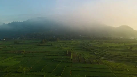 Aerial view, a view of rice fields and hills shrouded in mist in the morning Stock Footage 188394648