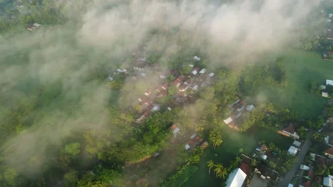 Aerial view, a view of rice fields and hills shrouded in mist in the morning Stock Footage 196261400