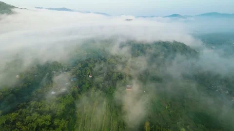 Aerial view, a view of rice fields and hills shrouded in mist in the morning Stock Footage 196261607