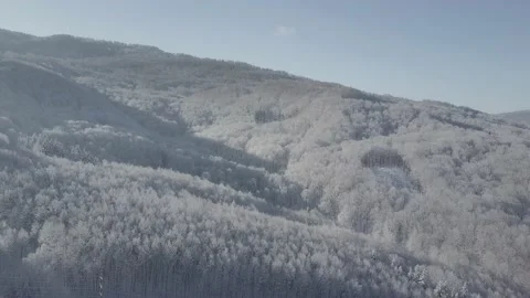 Aerial view: View of the snow-capped mountains of the Carpathians. Beautiful 動画素材 166387853