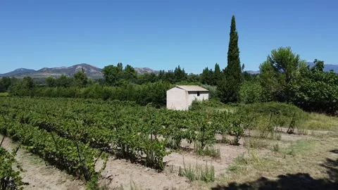 Aerial view vineyard Dentelles de Montmirail Stock Footage 250405136