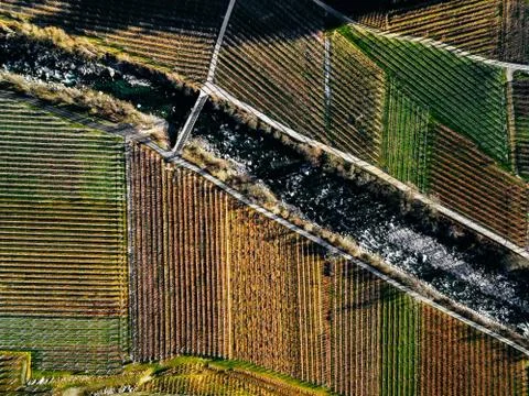 Aerial view of vineyard fields during winter in Italy. Stock Photos
