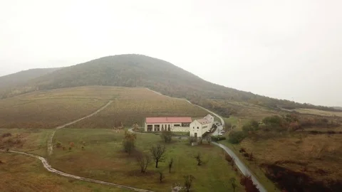 Aerial view of a vineyard 스톡 동영상 120366470