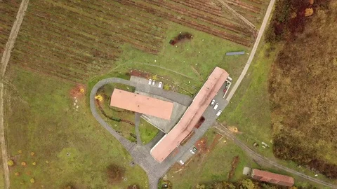 Aerial view of a vineyard Stock Footage 120417939
