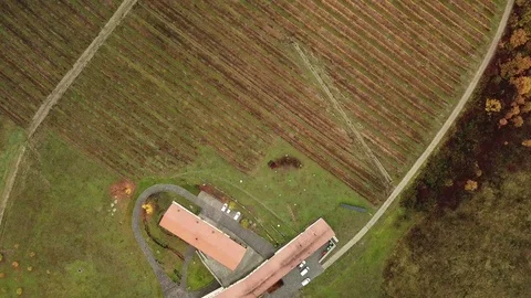 Aerial view of a vineyard Stock Footage 120418007