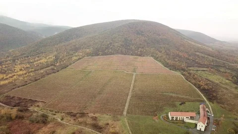 Aerial view of a vineyard Vídeos de archivo 120418161