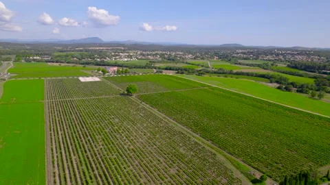 Aerial view of vineyard patchwork near Lecrès, France 動画素材 276199620