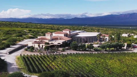 Aerial View of Vineyard Rows and Winery in Cafayate Argentina Stock Footage 332229646