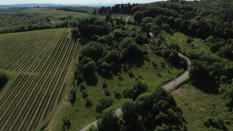 Aerial View of Vineyard Rows Winding Through Tuscan Hills Stock Footage 345498427
