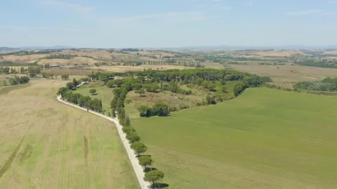 Aerial view of a vineyard surrounded by fields in summer, Tuscany, Italy Stock Footage 286306448