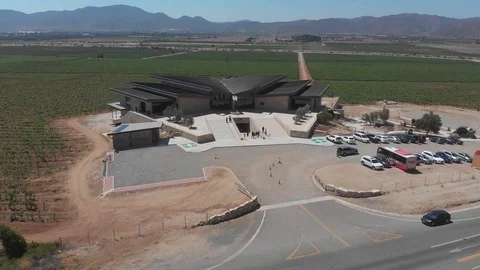 Aerial view of a vineyard at Valle de Guadalupe, Baja California. Vidéo 125847344