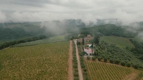 Aerial View of Vineyard Villa in Cloudy French Countryside Stock Footage 309529989