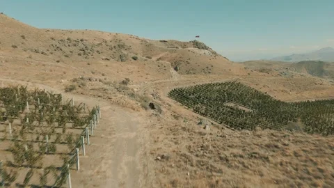 An Aerial View Of The Vineyards 21 Stock-Footage 318903119