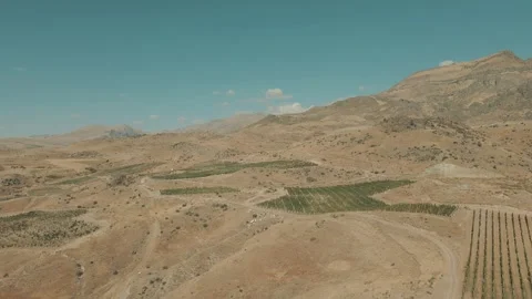 An Aerial View Of The Vineyards 6 Video stock 318901606