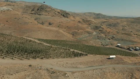 An Aerial View Of The Vineyards 7 Stock Footage 318902121